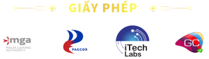 giay phep cua 123b